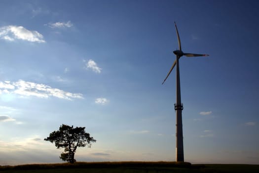 Tree and wind turbine