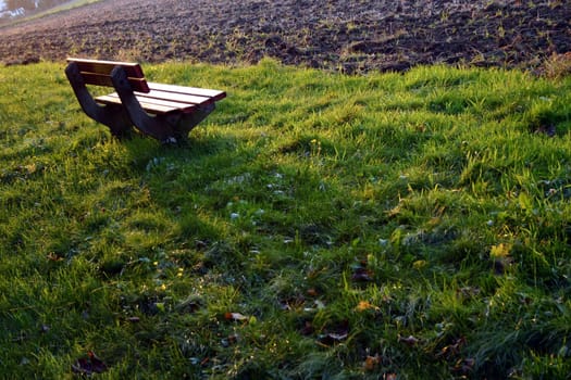 bench or (bank building without river without house without skyline)