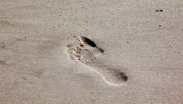 Tracks in the sand