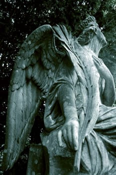 Angel