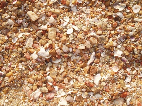 Shell Macro