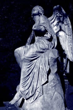 Angel