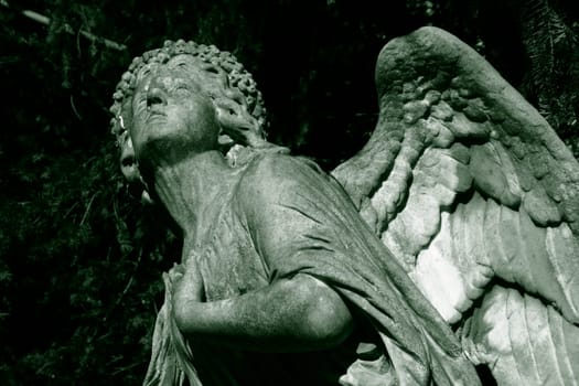 Angel