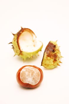 Chestnuts