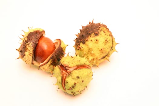 Chestnuts