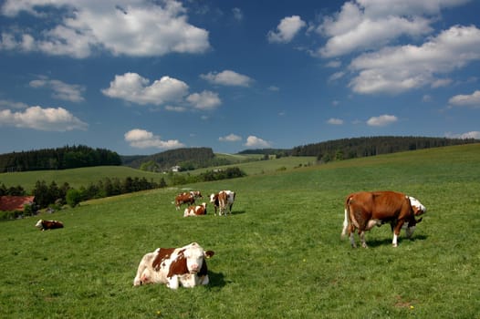 Agriculture