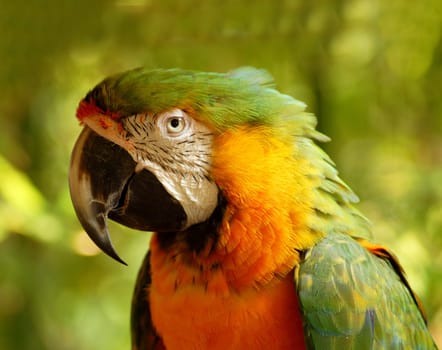 I just found it nice and colorful!:-)