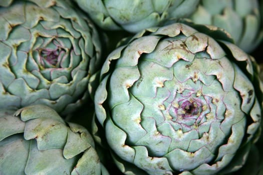 Artichoke