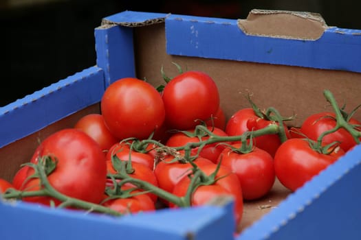 Tomato crate