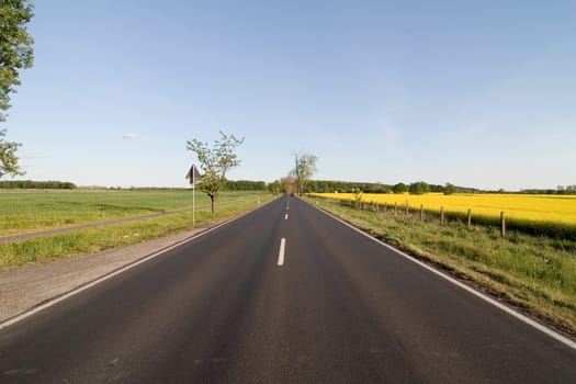 Road and rapeseed