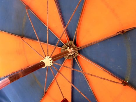 Under the umbrella