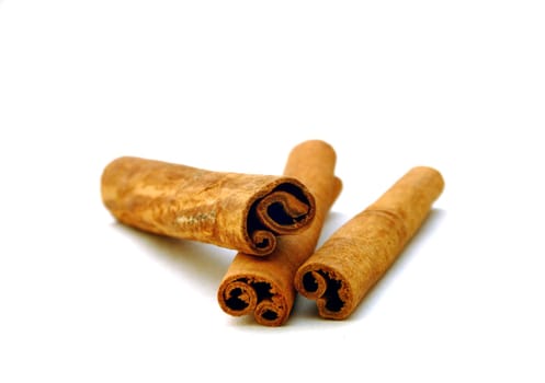 Cinnamon bark