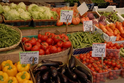 Vegetable