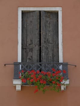 Window