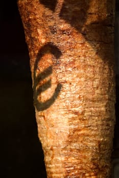 Kebab skewer