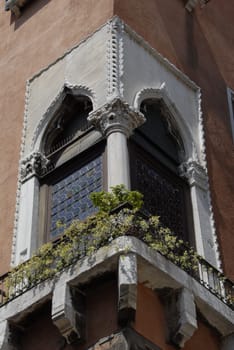 Window symmetry