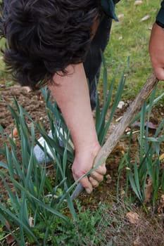 Gardening weeding
