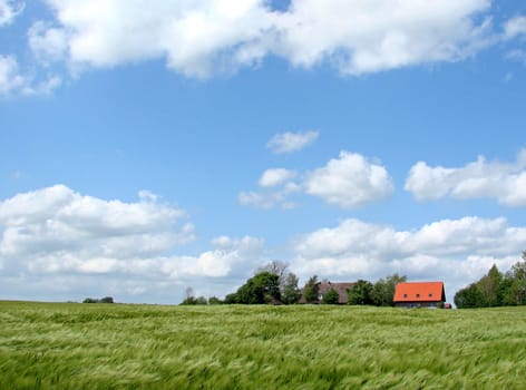Living in the countryside