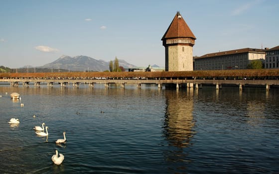 There are already a lot of pictures of the Chapel Bridge in Lucerne..... There is one thing that more or less does not matter....!:-)  Even I couldn't walk past it without pressing the shutter button!:-)