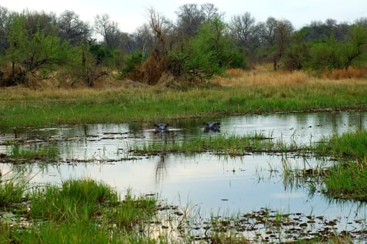 River Pond