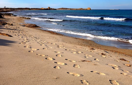 Tracks on the beach