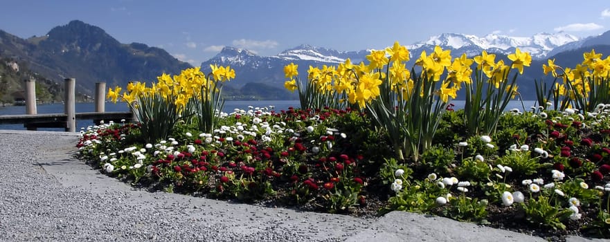 The idyllic village of Weggis is located on the sunny southern flank of the Rigi,directly on the majestic Lake Lucerne and is an ideal starting point for excursions into the mountains or across the lake. On the Rigi,with the car-free resort of Rigi Kaltbad,the He