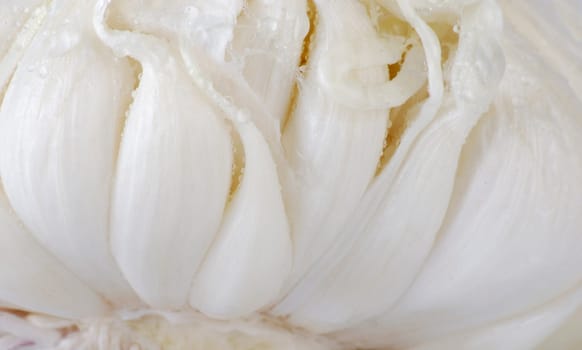 Fresh garlic close-up