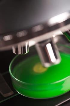 Microscope with Petri dish