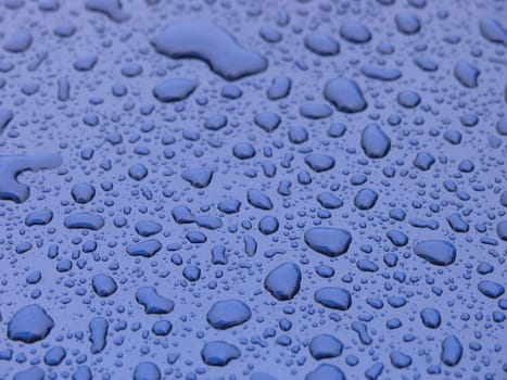 beading water droplets