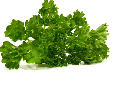 Parsley