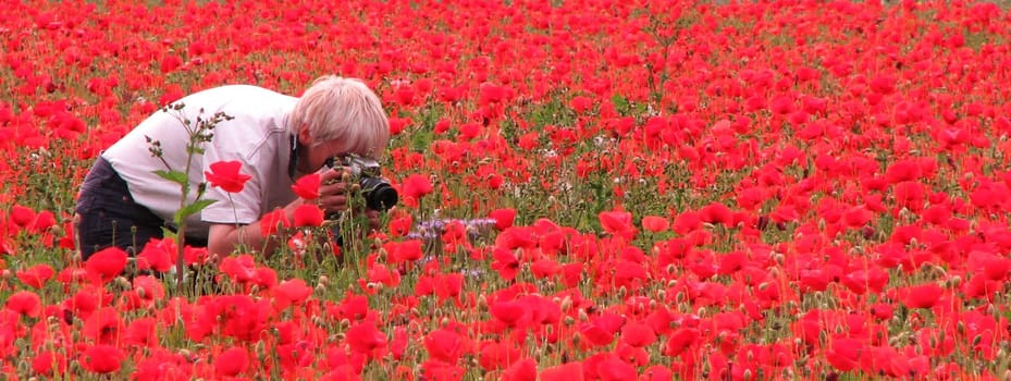 Today makandy and rolli-ro came from Berlin,and what did they want to see? Our poppy field.... Precursor of the user meeting from tomorrow with Winni in Münster - Billerbeck