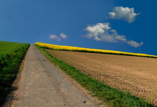 Field geometry