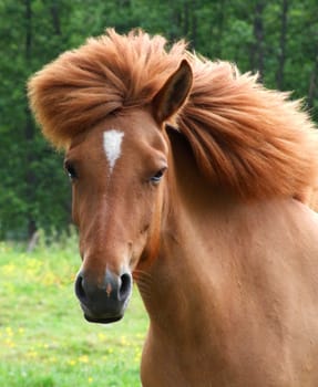 Blow-dry hairstyle