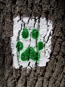 HIKING TRAIL IN THE FOOTSTEPS OF WOLVES