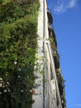 green house façade