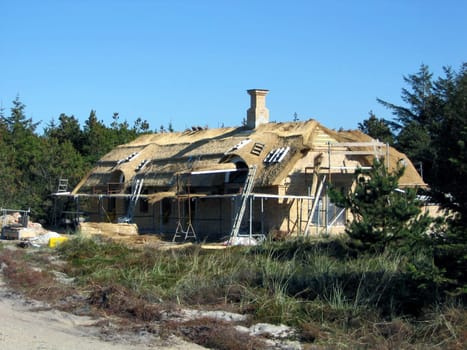 Thatched house new building