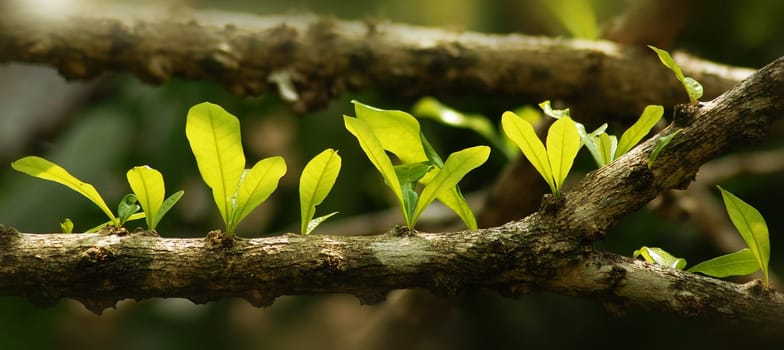 If you look very closely,you can see new life everywhere.....!:-)