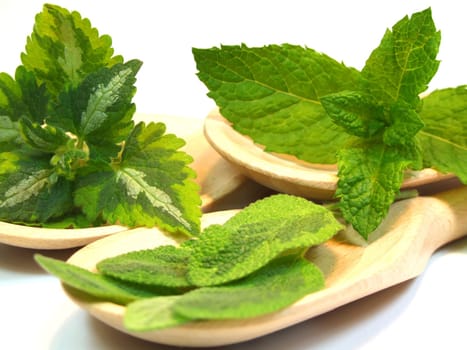 Herb spoon