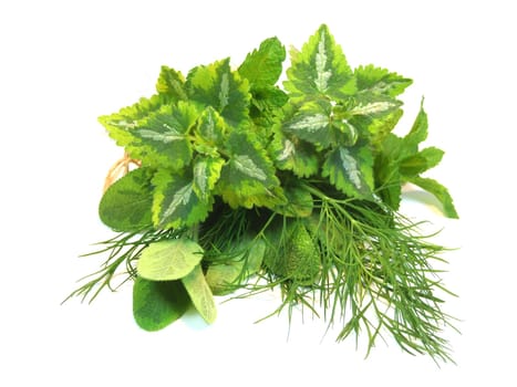 Bouquet of herbs