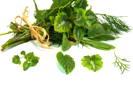 Herbs