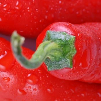 Chili close-up