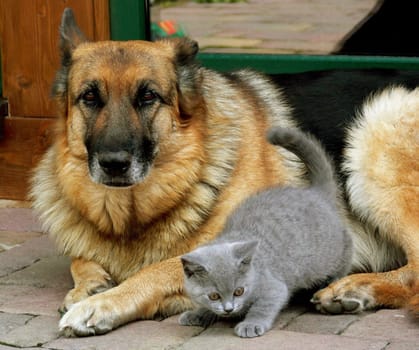 Leo and Cora