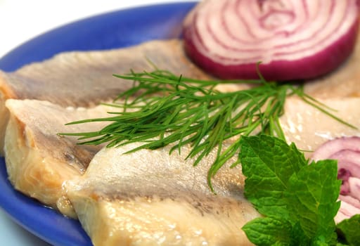 fish or fish sea