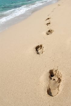 Footprints in the sand