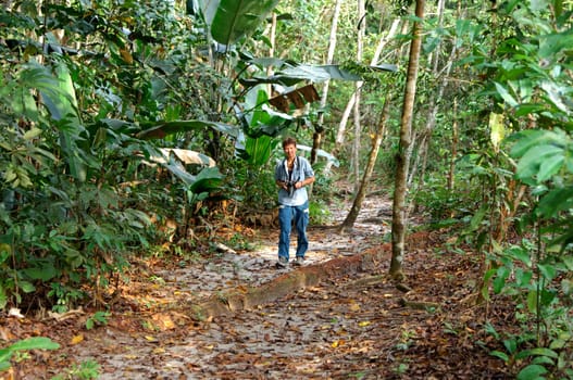Walk in the jungle