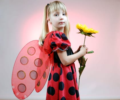 Ladybird