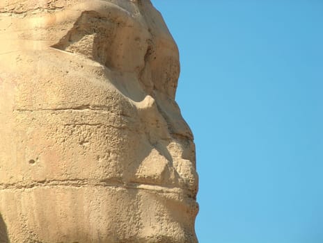 Sphinx up close
