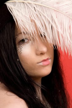 Ostrich feather