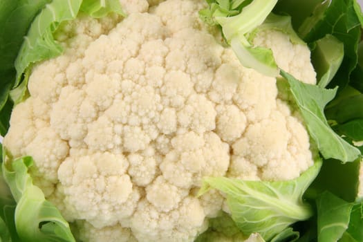 Blumenkohl
