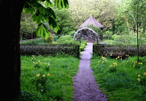 Cottage garden